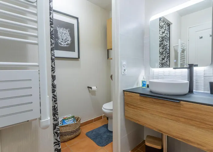 Апартаменты Grande Terrasse Vue *